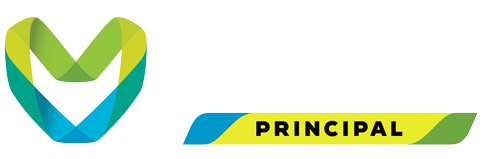 Principal of the Metaverse Standards Forum